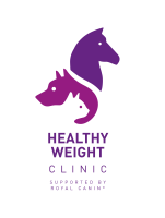 Healthy weight clinic