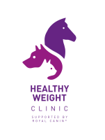 Healthy Weight Clinic